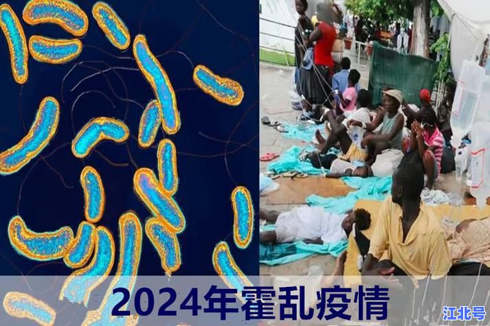 详细阅读:现在中国还有霍乱吗?2024最新疫情数据解析与防控政策全解读 现在中国还有霍乱吗?2024最新疫情数据解析与防控政策全解读