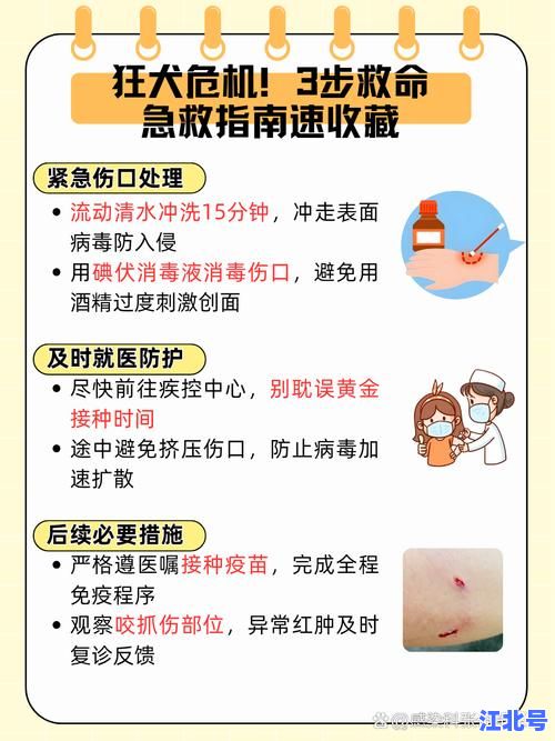 详细阅读:山西狂狂犬病病例最新通报:官方公布感染路径与预防指南务必收藏 山西狂狂犬病病例最新通报:官方公布感染路径与预防指南务必收藏