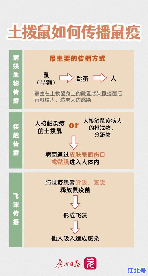 详细阅读:鼠疫总共死了多少人?盘点黑死病三次大流行致死人数与真实数据揭秘 鼠疫总共死了多少人?盘点黑死病三次大流行致死人数与真实数据揭秘