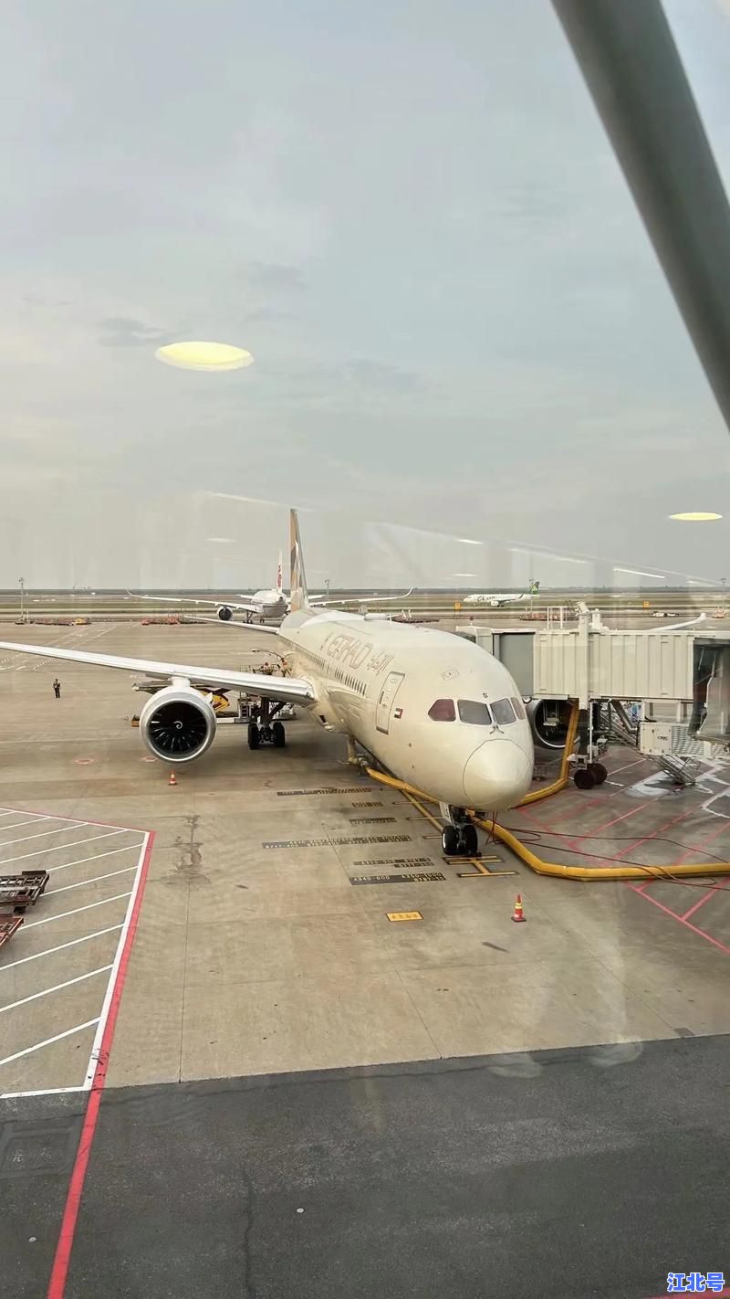 详细阅读:上海浦东国际机场最新疫情防控政策2024全解读:核酸+隔离+入境流程实时更新指南 上海浦东国际机场最新疫情防控政策2024全解读:核酸+隔离+入境流程实时更新指南