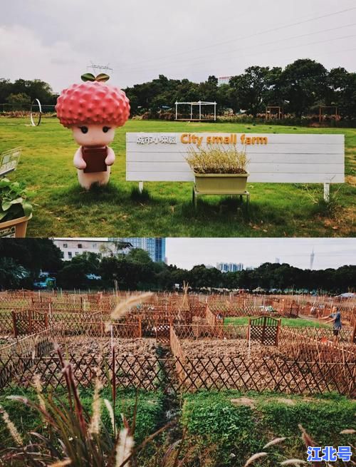 详细阅读:广州摘水果农场最全攻略:周边亲子游圣地地址+季节水果时间表+免费停车 广州摘水果农场最全攻略:周边亲子游圣地地址+季节水果时间表+免费停车