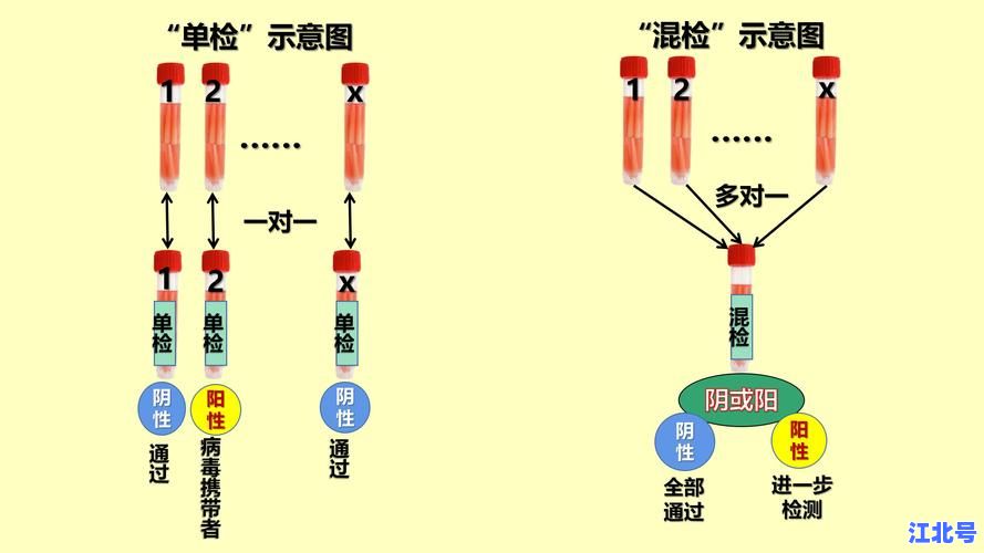详细阅读:核酸检测为什么要5人一组的真相:混采原理、检测效率与成本控制全解析 核酸检测为什么要5人一组的真相:混采原理、检测效率与成本控制全解析