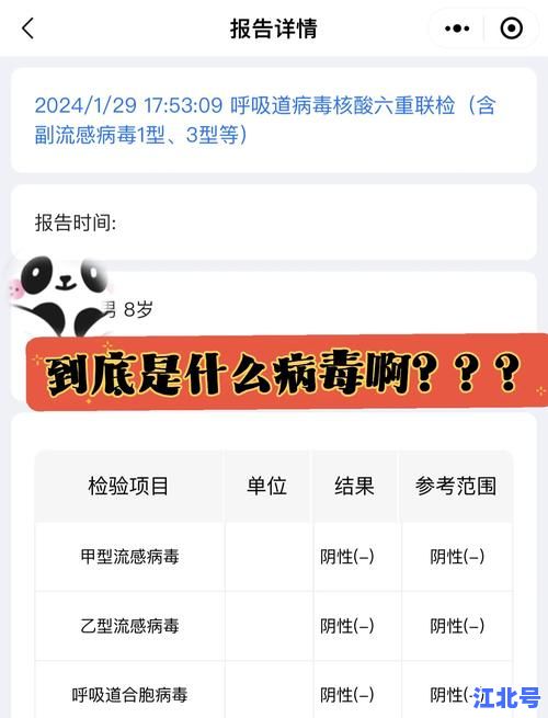 详细阅读:现在病毒变异情况最新通报_2024奥密克戎亚型毒株传播速报与防护指南 现在病毒变异情况最新通报_2024奥密克戎亚型毒株传播速报与防护指南