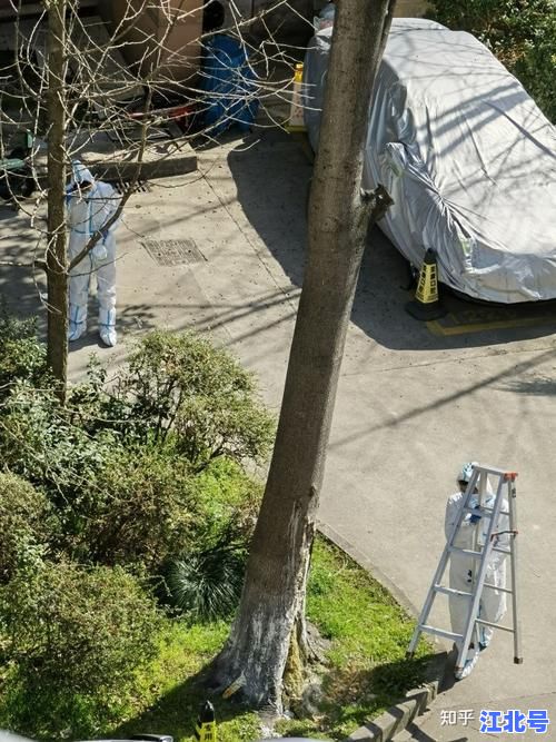 详细阅读:郑州新增1例感染者轨迹公布!2025最新行动路线及风险点位全解析火速围观 郑州新增1例感染者轨迹公布!2025最新行动路线及风险点位全解析火速围观