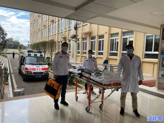 详细阅读:青岛救护车出租电话是多少?24小时官方预约热线与收费标准权威指南 青岛救护车出租电话是多少?24小时官方预约热线与收费标准权威指南