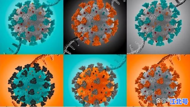 详细阅读:深度追踪:德尔塔毒株出自哪里?揭秘印度首次发现时间、变异源头与全球传播路径 深度追踪:德尔塔毒株出自哪里?揭秘印度首次发现时间、变异源头与全球传播路径