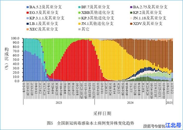 中国第二波新冠或迎冬季反扑：专家解读最新变异株XBB与防护指南