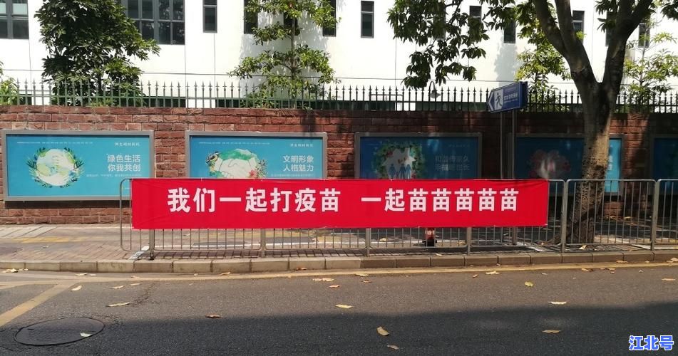 中国多少人没打新冠疫苗？最新数据揭秘未接种人群规模与地区分布